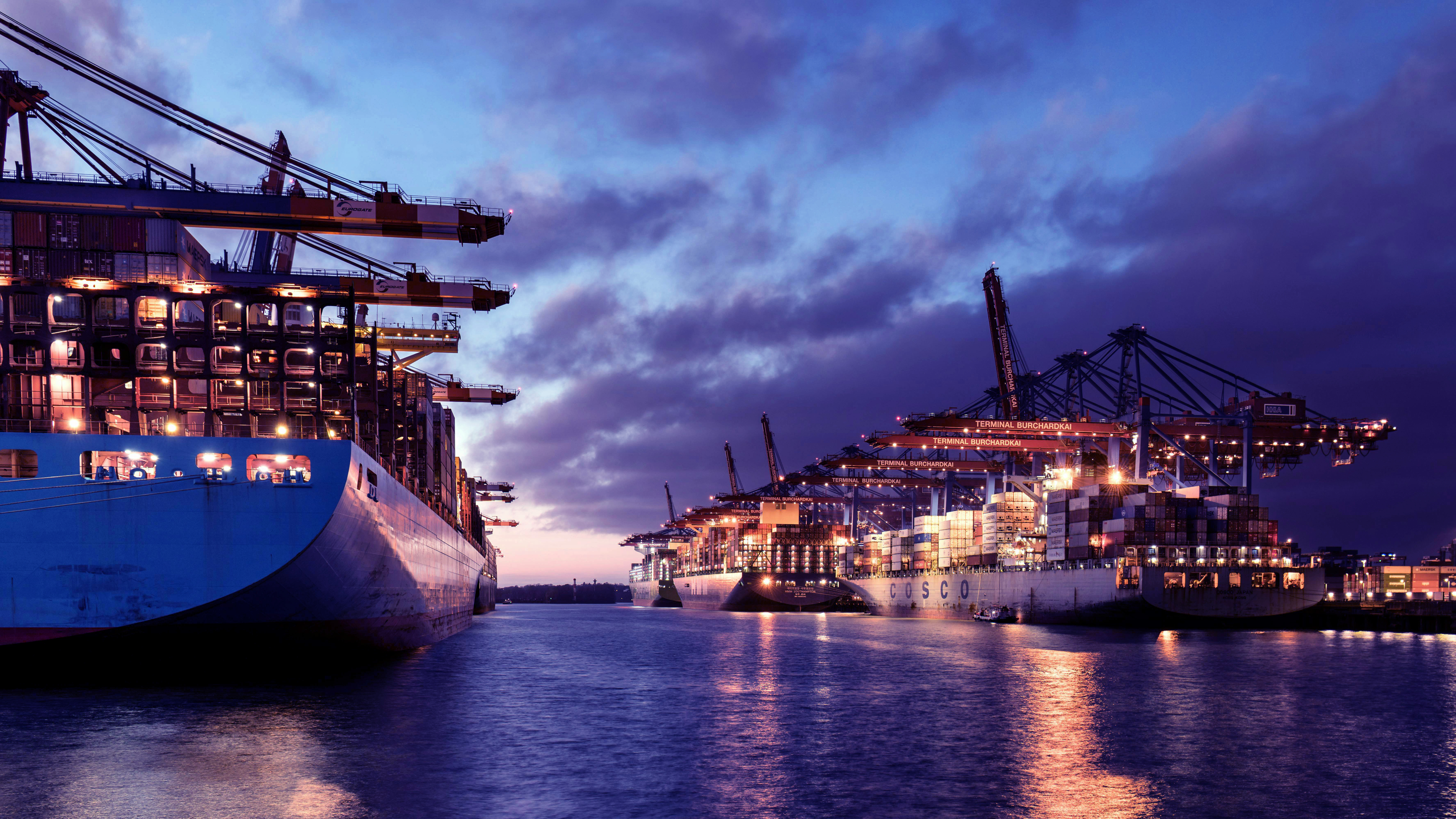 Photo of rows of books in a library with marble busts.